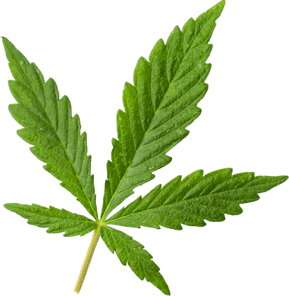 https://www.northblume.com/wp-content/uploads/2018/12/marijuana_leaf_large.png